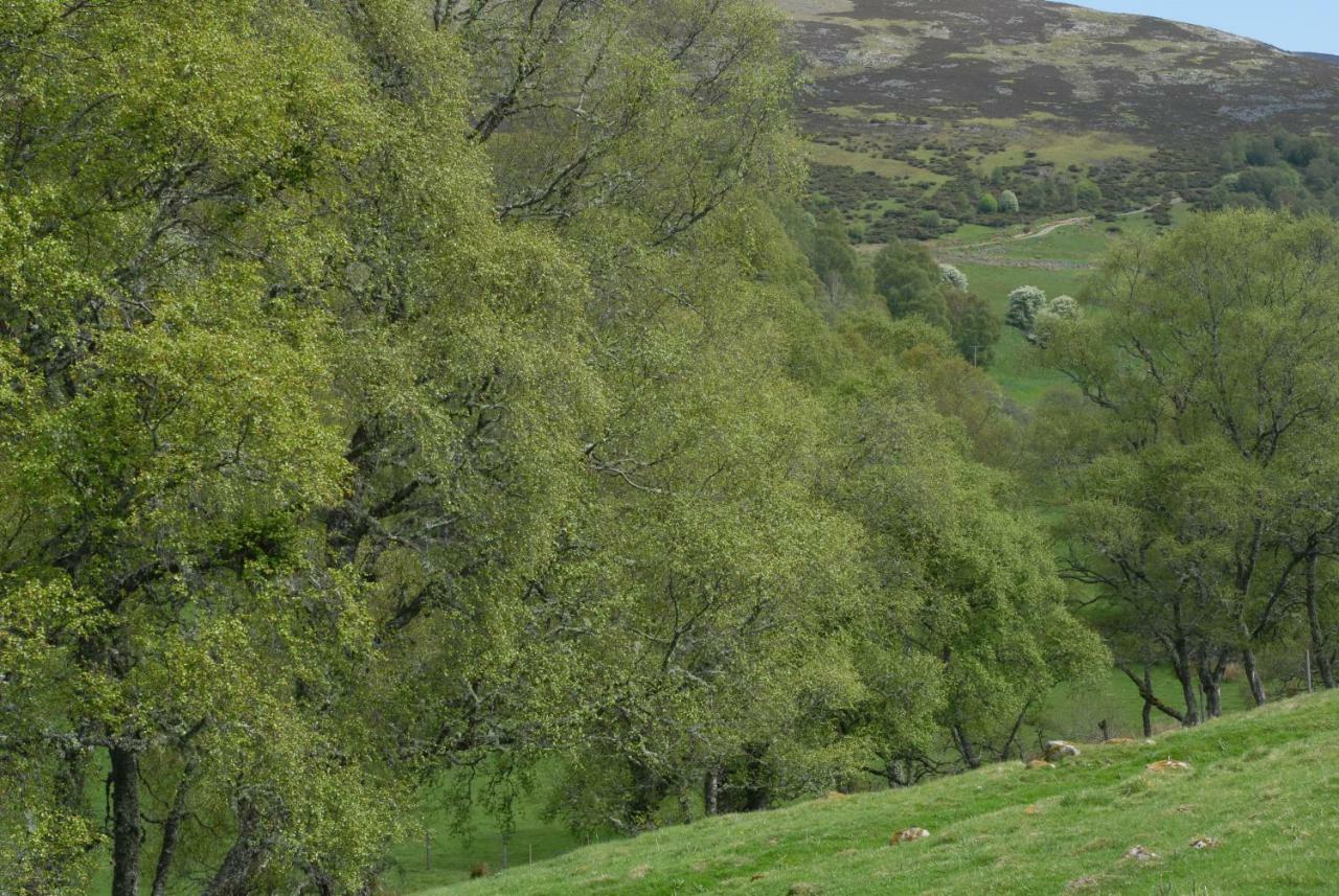 Howe Of Torbeg บัลลาเทอร์ ภายนอก รูปภาพ